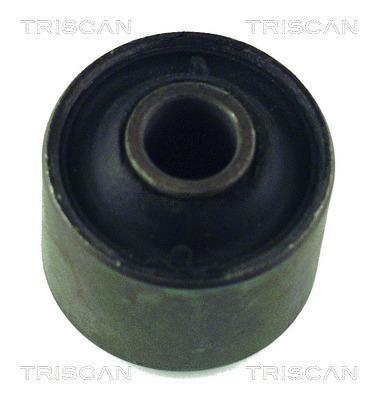 Coussinet de palier, stabilisateur Triscan A/S ref. 8500 65801