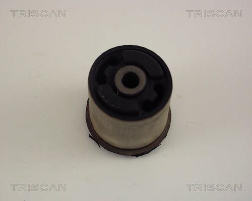 Silentblock del puente trasero Triscan A/S ref. 8500 65829