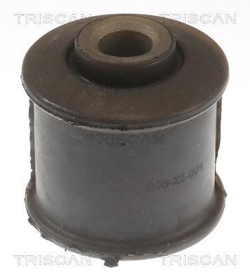 Silent bloc de suspension Triscan A/S ref. 8500 80802