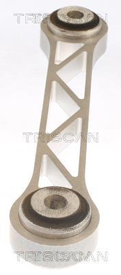 Triangle de suspension Triscan A/S 8500 81521