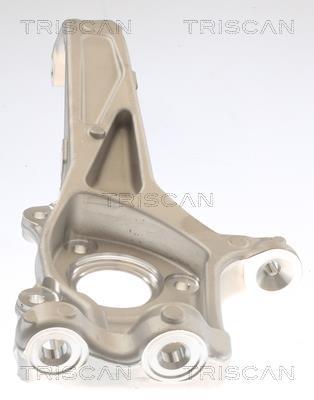 Muñón del eje, suspensión de rueda Triscan A/S ref. 8500 81701
