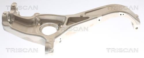 Muñón del eje, suspensión de rueda Triscan A/S ref. 8500 81701