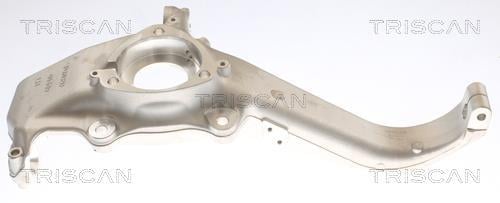 Muñón del eje, suspensión de rueda Triscan A/S ref. 8500 81701