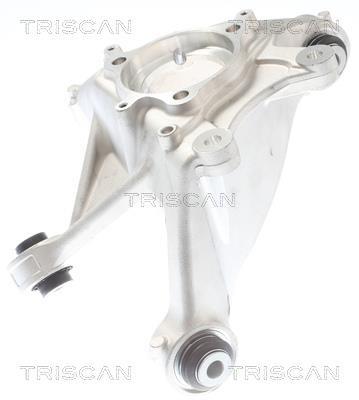 Muñón del eje, suspensión de rueda Triscan A/S ref. 8500 81709