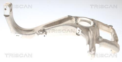 Muñón del eje, suspensión de rueda Triscan A/S ref. 8500 81711