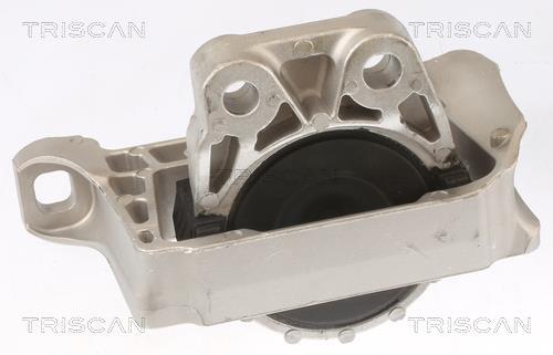Support moteur (Silent bloc moteur) Triscan A/S 8505 10100
