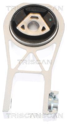 Support moteur (Silent bloc moteur) Triscan A/S ref. 8505 10101