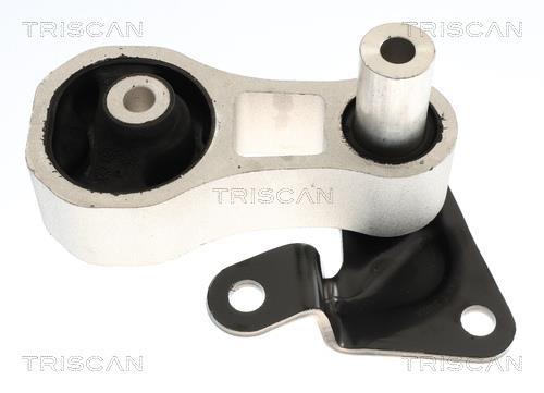Support moteur (Silent bloc moteur) Triscan A/S ref. 8505 10102