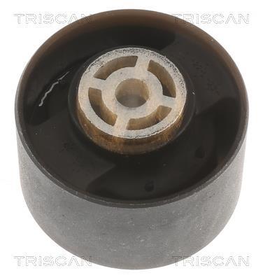 Suporte do motor Triscan A/S ref. 8505 10113