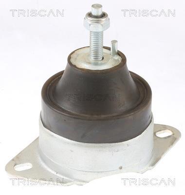 Support moteur (Silent bloc moteur) Triscan A/S ref. 8505 10119