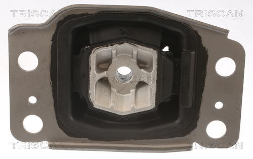 Support moteur (Silent bloc moteur) Triscan A/S ref. 8505 10137