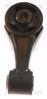 Support moteur (Silent bloc moteur) Triscan A/S ref. 8505 10138