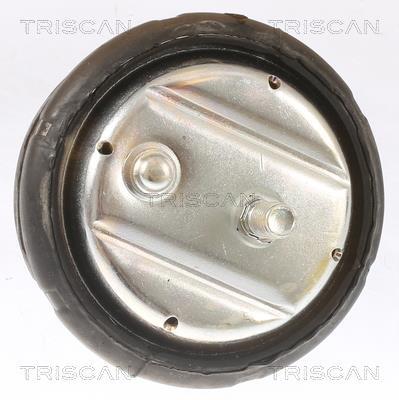 Support moteur (Silent bloc moteur) Triscan A/S 8505 11101