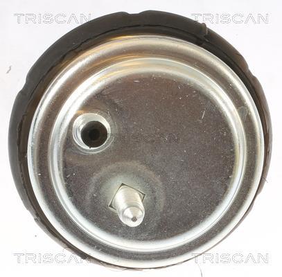 Support moteur (Silent bloc moteur) Triscan A/S 8505 11102