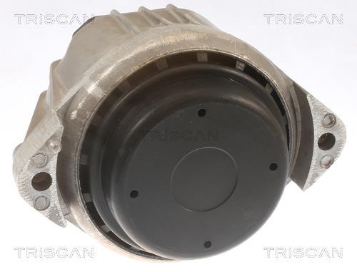 Support moteur (Silent bloc moteur) Triscan A/S 8505 11105