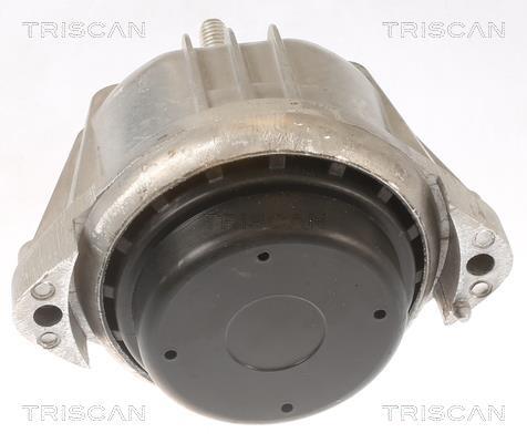 Support moteur (Silent bloc moteur) Triscan A/S 8505 11106