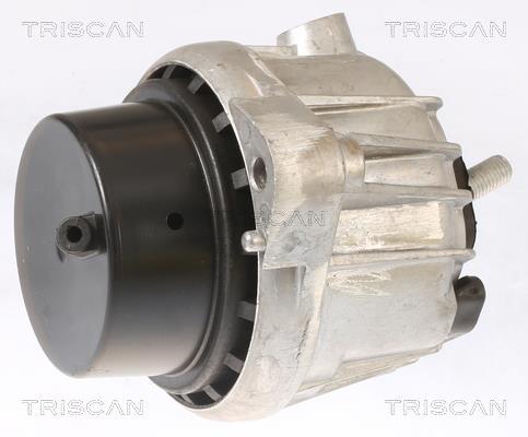 Support moteur (Silent bloc moteur) Triscan A/S 8505 11110