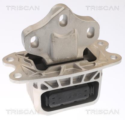 Support moteur (Silent bloc moteur) Triscan A/S ref. 8505 11120