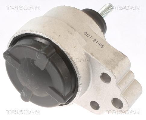 Support moteur (Silent bloc moteur) Triscan A/S 8505 16120