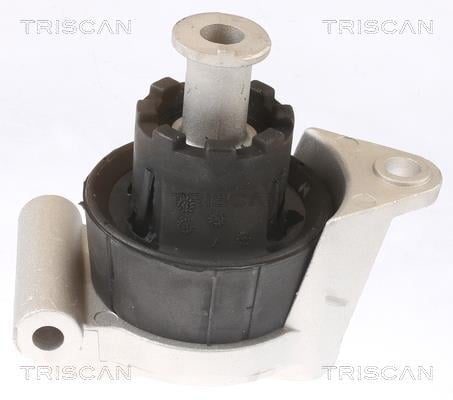 Soporte, motor Triscan A/S ref. 8505 24103