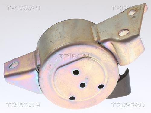 Support moteur (Silent bloc moteur) Triscan A/S ref. 8505 24113