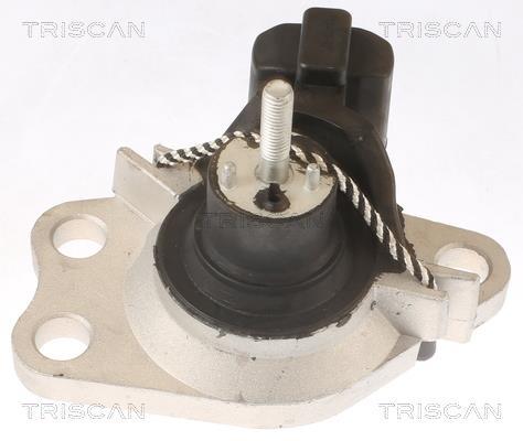 Support moteur (Silent bloc moteur) Triscan A/S ref. 8505 25100