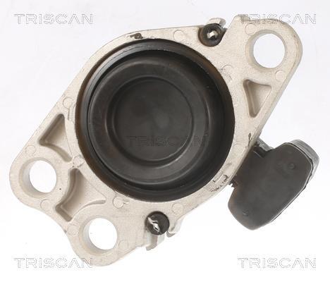 Support moteur (Silent bloc moteur) Triscan A/S ref. 8505 25100