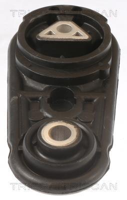 Soporte, motor Triscan A/S ref. 8505 25106