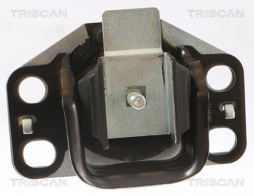 Soporte, motor Triscan A/S ref. 8505 25107