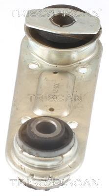 Support moteur (Silent bloc moteur) Triscan A/S 8505 25109
