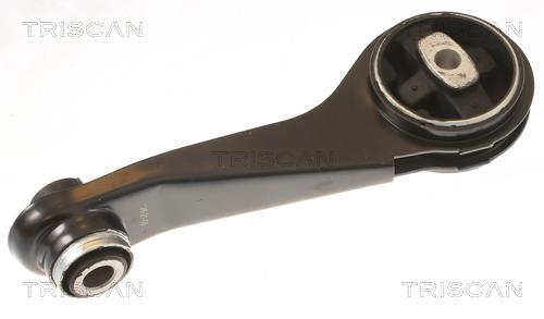 Support moteur (Silent bloc moteur) Triscan A/S 8505 25125