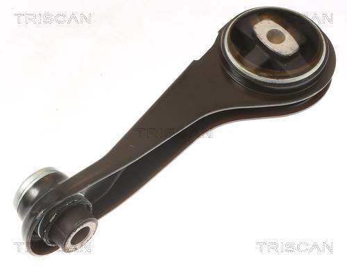 Support moteur (Silent bloc moteur) Triscan A/S 8505 25125