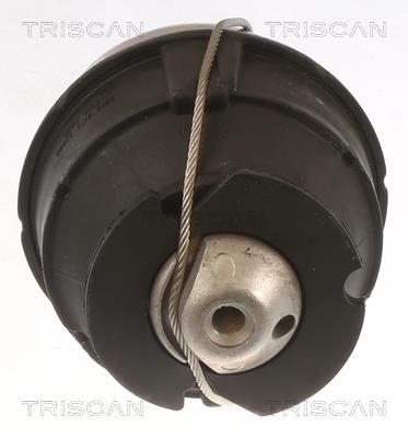 Support moteur (Silent bloc moteur) Triscan A/S 8505 27103