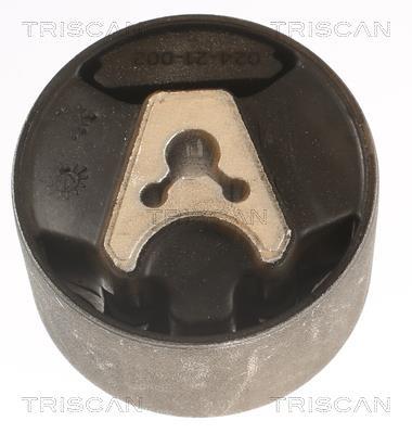 Support moteur (Silent bloc moteur) Triscan A/S 8505 28110