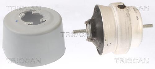 Support moteur (Silent bloc moteur) Triscan A/S 8505 29108