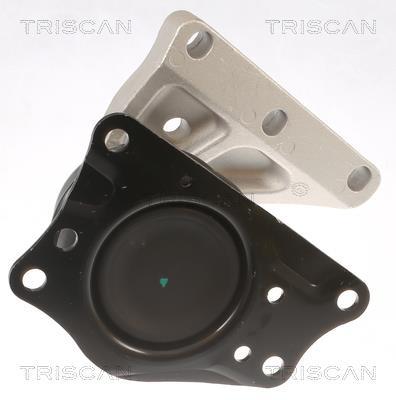 Support moteur (Silent bloc moteur) Triscan A/S 8505 29110
