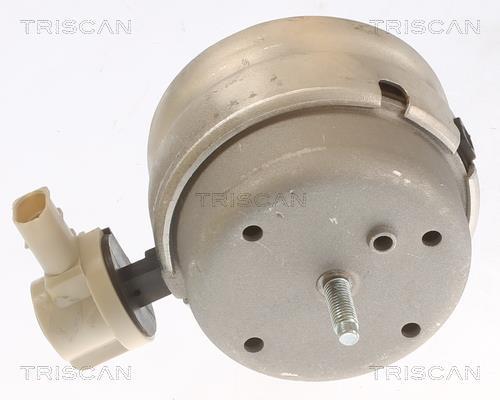 Support moteur (Silent bloc moteur) Triscan A/S ref. 8505 29111