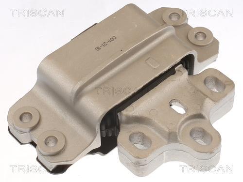 Support moteur (Silent bloc moteur) Triscan A/S 8505 29116