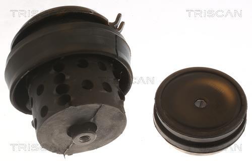 Support moteur (Silent bloc moteur) Triscan A/S 8505 29118