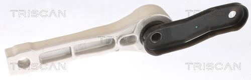Support moteur (Silent bloc moteur) Triscan A/S 8505 29123