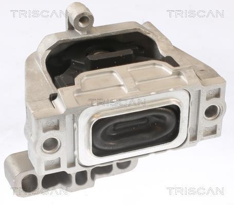Support moteur (Silent bloc moteur) Triscan A/S 8505 29124