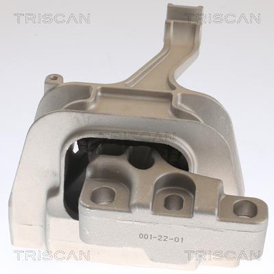 Support moteur (Silent bloc moteur) Triscan A/S ref. 8505 29129