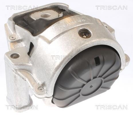 Soporte, motor Triscan A/S ref. 8505 29130