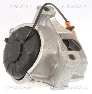 Support moteur (Silent bloc moteur) Triscan A/S ref. 8505 29133