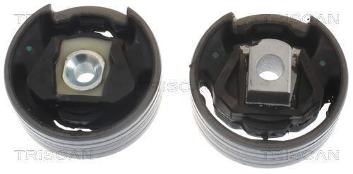 Support moteur (Silent bloc moteur) Triscan A/S ref. 8505 29137