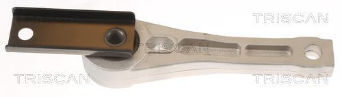 Soporte, motor Triscan A/S ref. 8505 29140