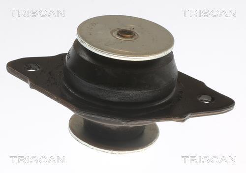 Suporte do motor Triscan A/S ref. 8505 29144