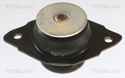 Support moteur (Silent bloc moteur) Triscan A/S 8505 29161