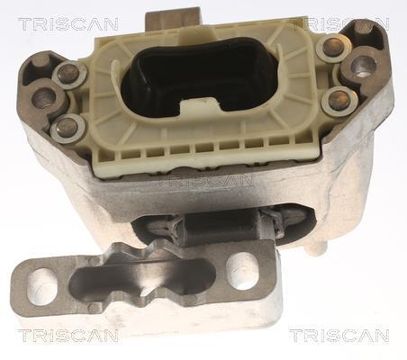 Support moteur (Silent bloc moteur) Triscan A/S 8505 29164