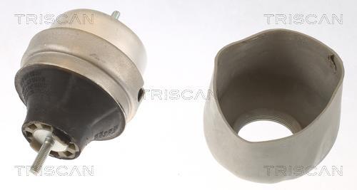 Support moteur (Silent bloc moteur) Triscan A/S 8505 29166